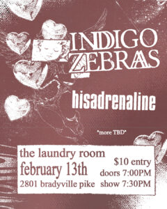 Indigo Zebras at The Laundry Room